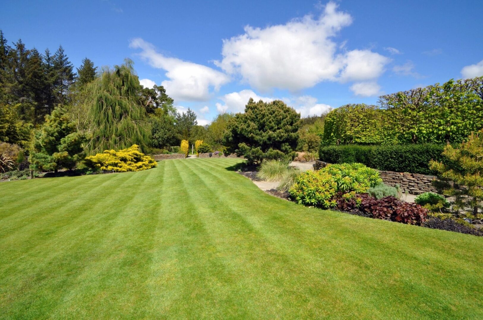 A lush, well-manicured lawn